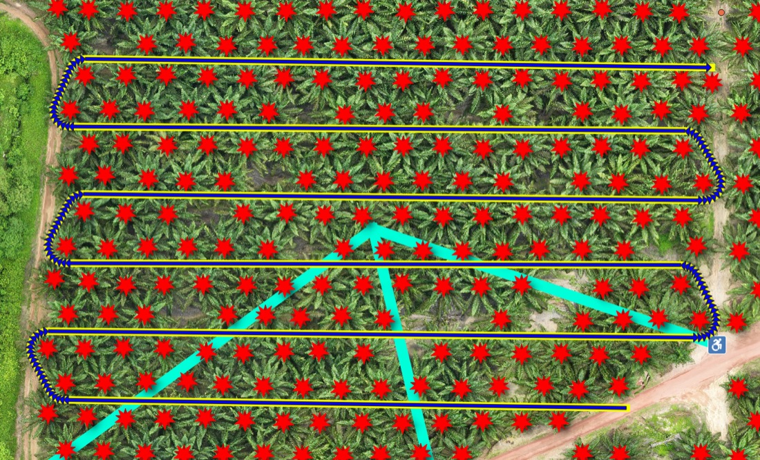 Aerial view of a palm plantation with detected trees marked in red and a serpentine robot route looping between the rows